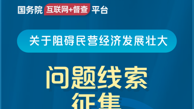 白虎屄操逼国务院“互联网+督查”平台公开征集阻碍民营经济发展壮大问题线索